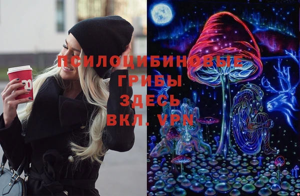 ГАЛЛЮЦИНОГЕННЫЕ ГРИБЫ Алзамай