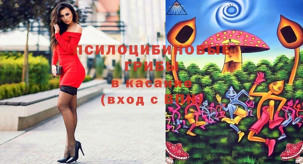 крисы Новодвинск
