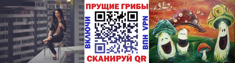 Псилоцибиновые грибы Cubensis ссылка на мегу онион Ухта что такое